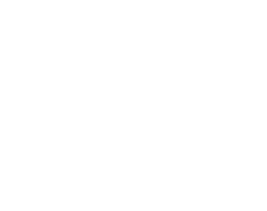 Saldias Karl Group